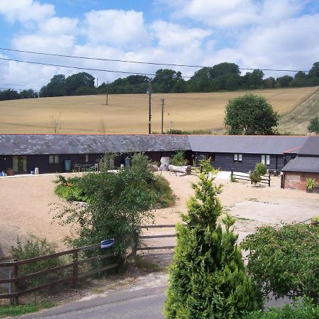 Five Cottages In Aonb And A Hobbit House! Canterbury Exterior photo